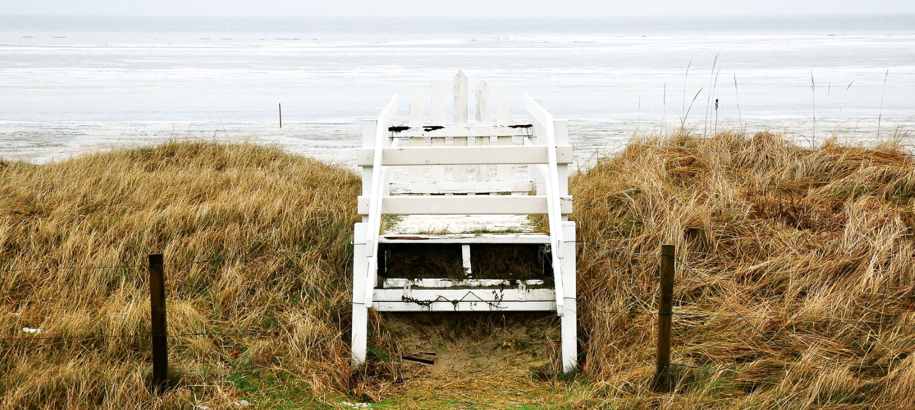 Creating Authority-Signed Certificates using PowerShell