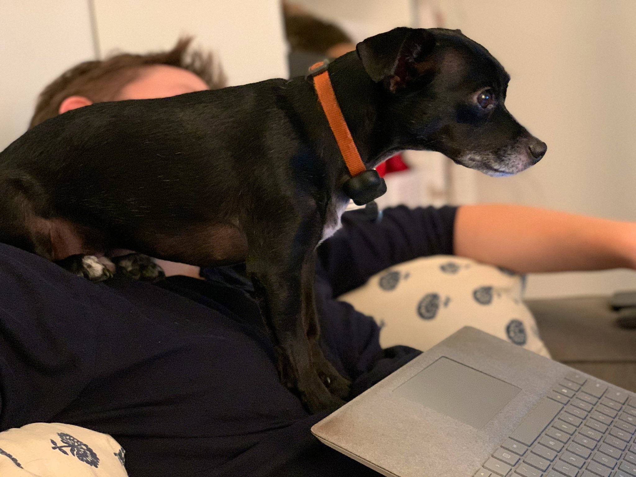 The boss reviewing my code