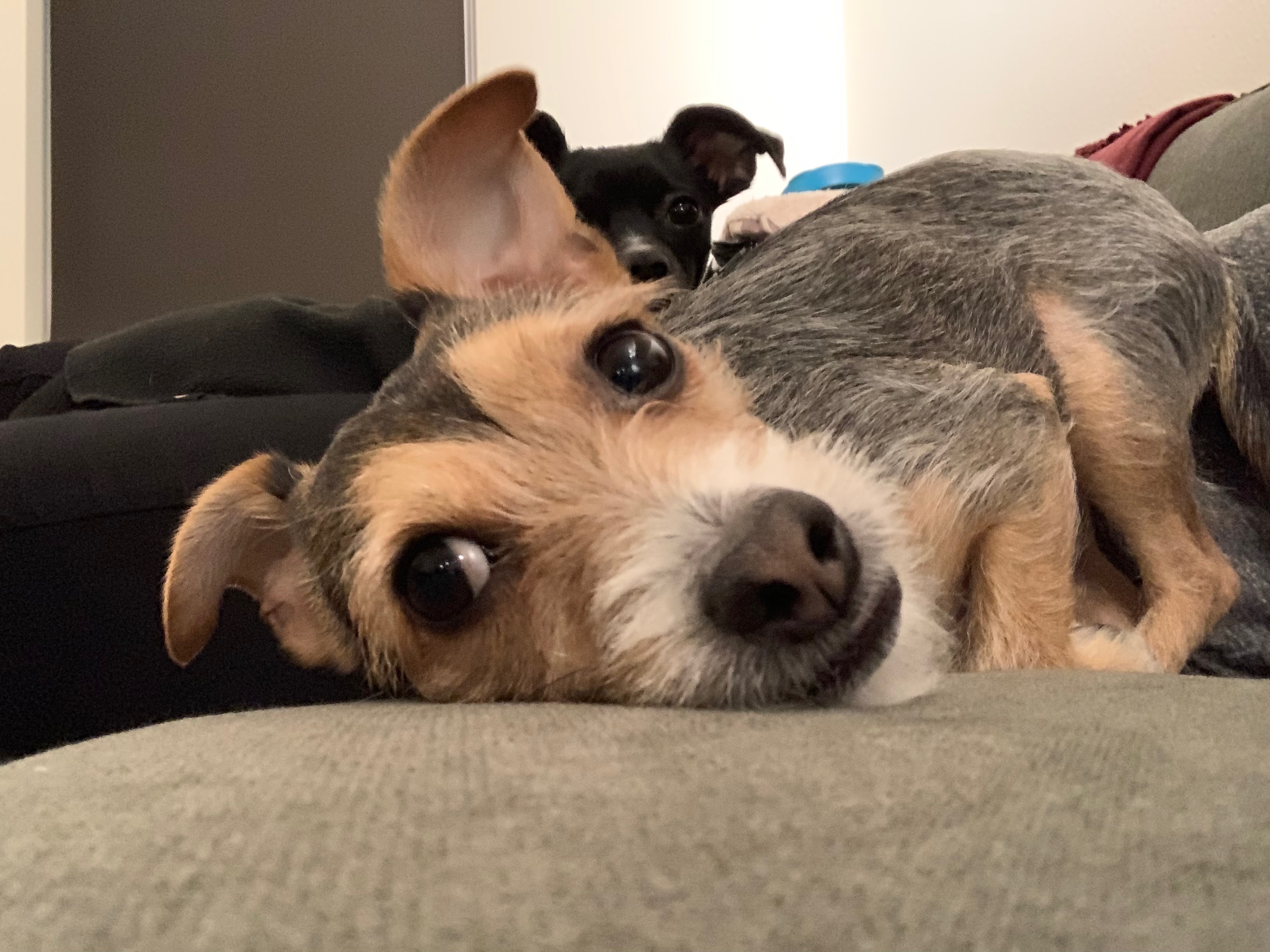 Kerberos.NET: A Managed Ticket Validator