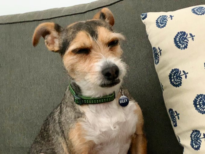 Eh_FPC6UcAAplUc.jfif