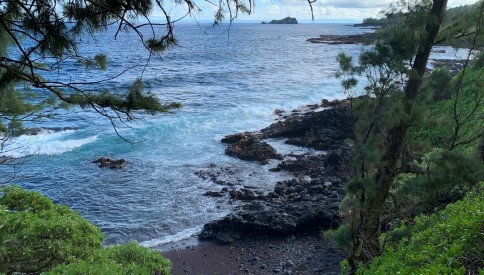 Examining Kerberos Messages with Fiddler Examining Kerberos Messages with Fiddler