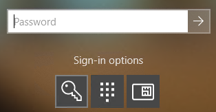 A Windows Credential Provider input field